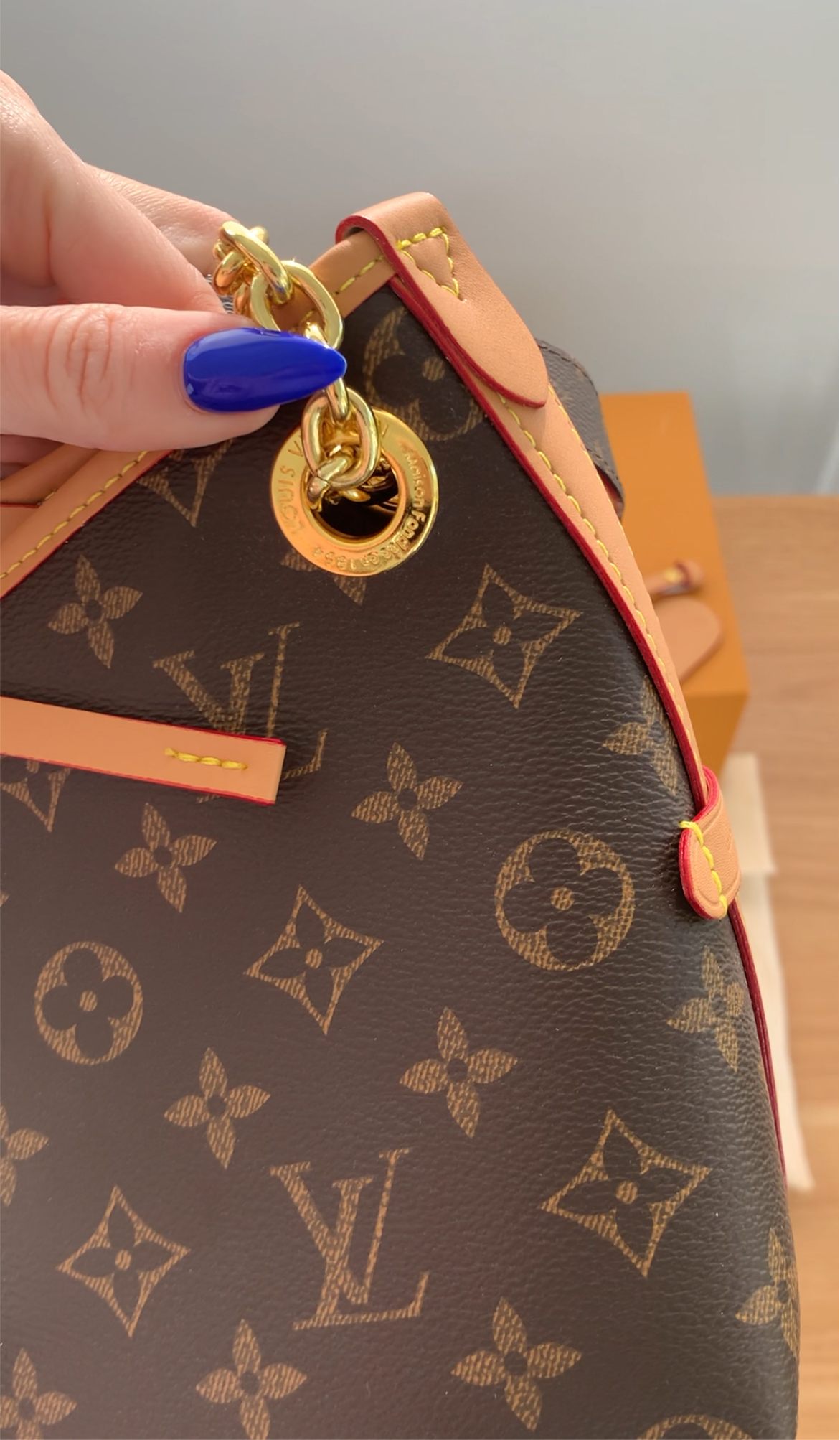 Bolso CarryAll BB