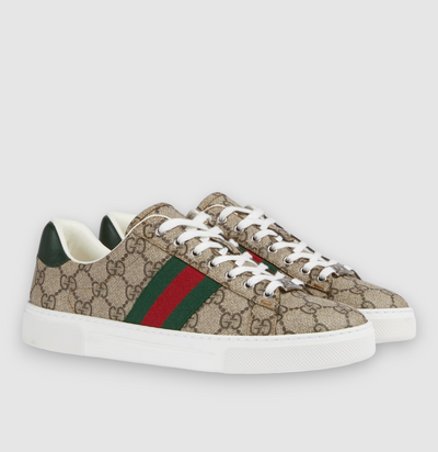 Zapatilla Gucci Ace Con Tribanda