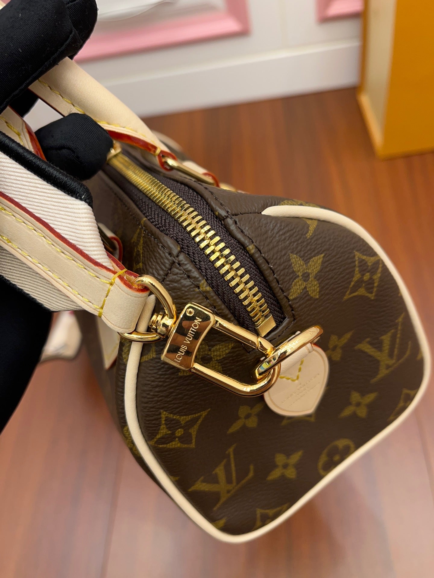 Bolso Speedy 20 Monograma